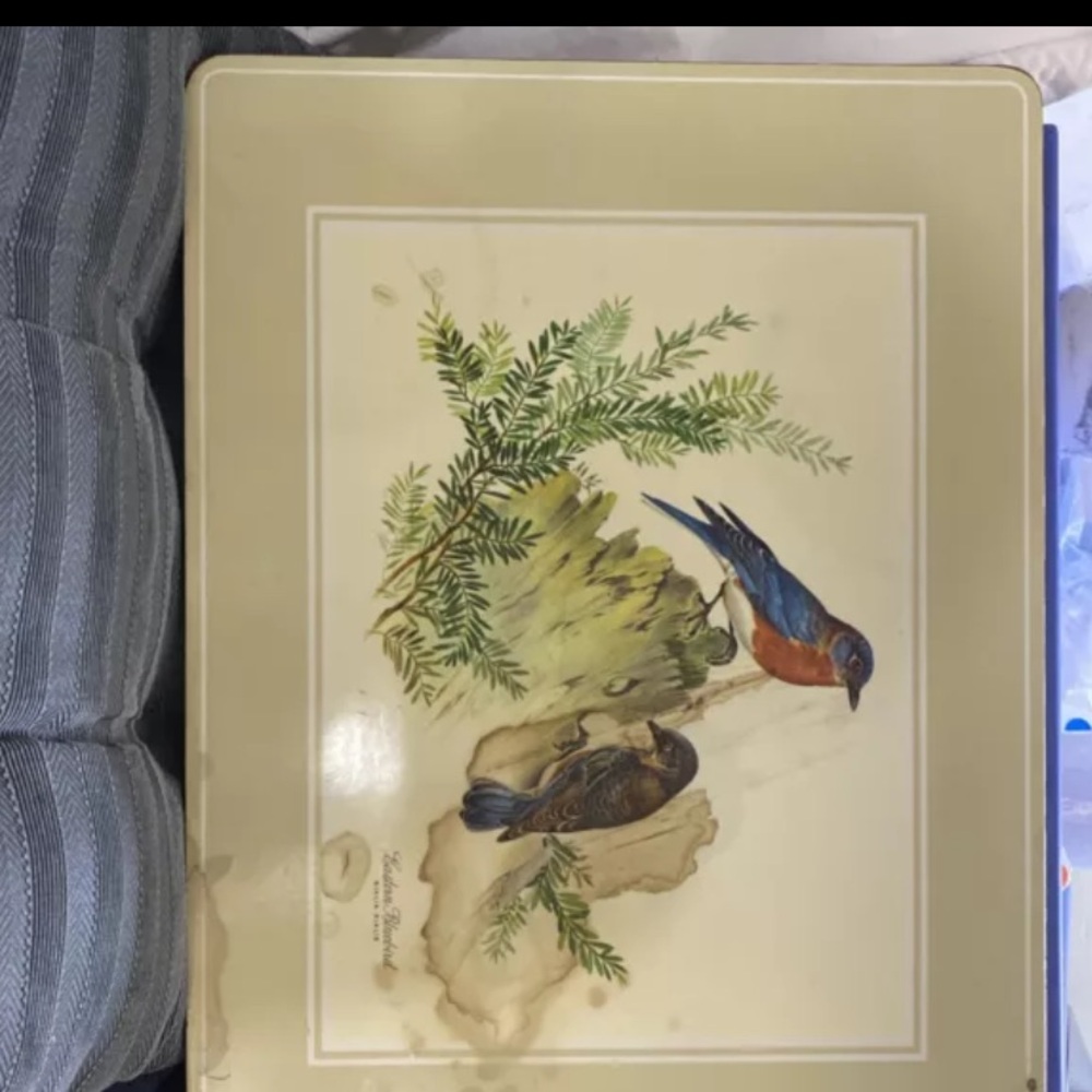 Vintage Bird Illustration Tin Box